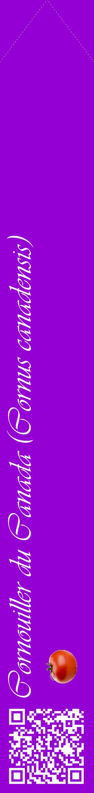 Étiquette de : Cornus canadensis - format c - style blanche48_simpleviv avec qrcode et comestibilité simplifiée