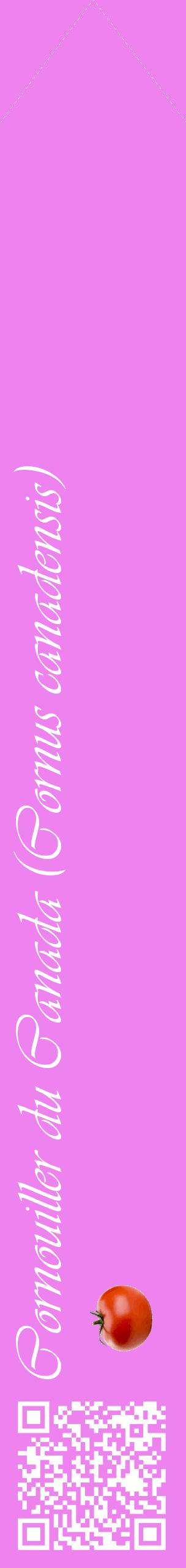 Étiquette de : Cornus canadensis - format c - style blanche53_simpleviv avec qrcode et comestibilité simplifiée