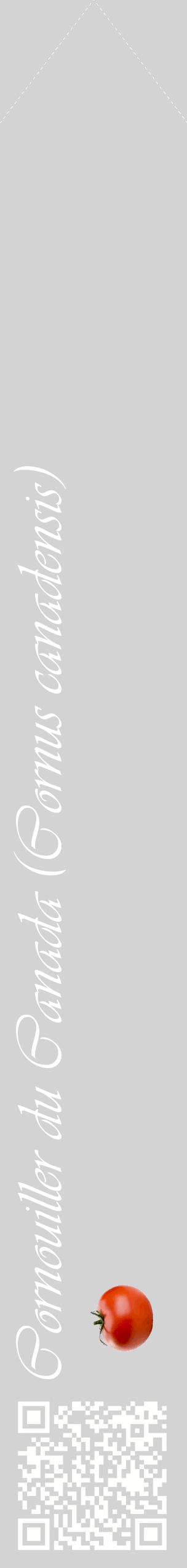 Étiquette de : Cornus canadensis - format c - style blanche56_simpleviv avec qrcode et comestibilité simplifiée