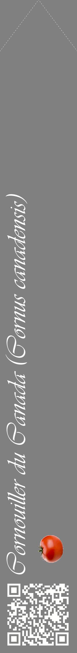Étiquette de : Cornus canadensis - format c - style blanche57_simpleviv avec qrcode et comestibilité simplifiée