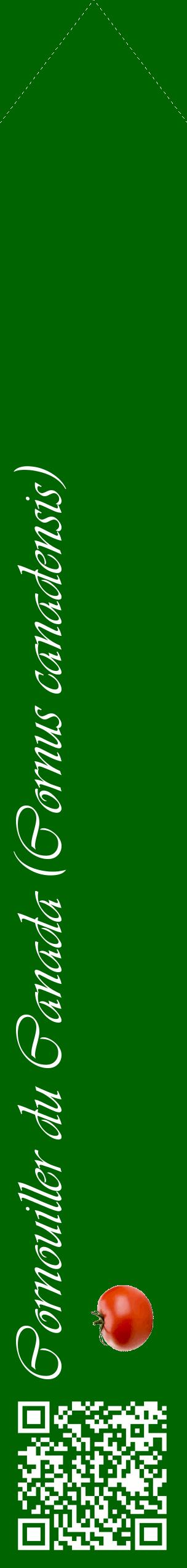Étiquette de : Cornus canadensis - format c - style blanche8_simpleviv avec qrcode et comestibilité simplifiée