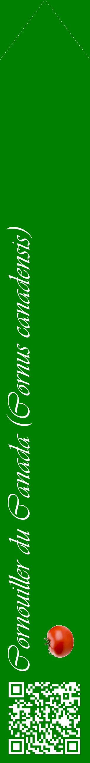 Étiquette de : Cornus canadensis - format c - style blanche9_simpleviv avec qrcode et comestibilité simplifiée