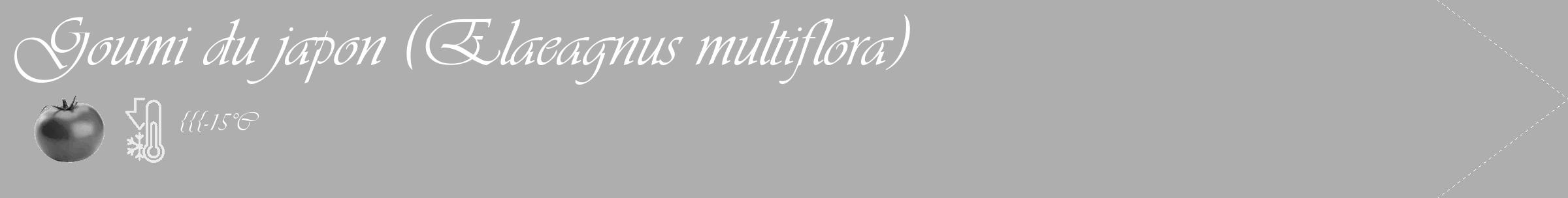 Étiquette de : Elaeagnus multiflora - format c - style blanche53_simple_simpleviv avec comestibilité simplifiée