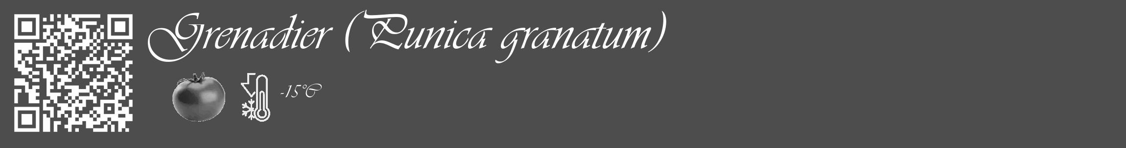 Étiquette de : Punica granatum - format c - style blanche28_basique_basiqueviv avec qrcode et comestibilité simplifiée