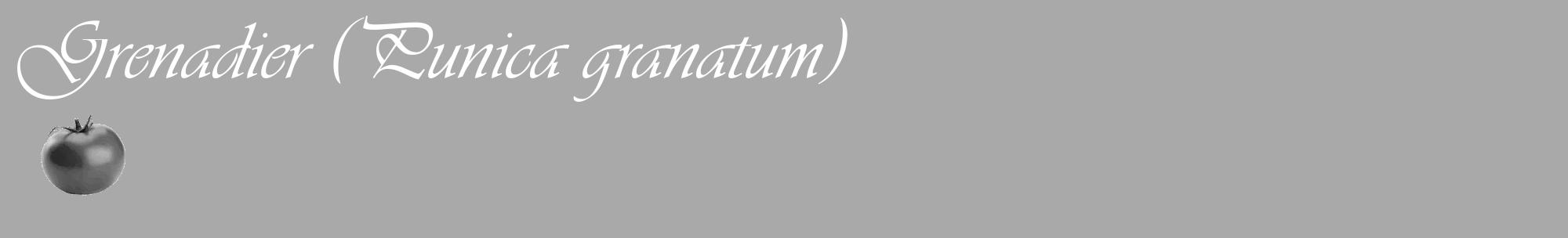 Étiquette de : Punica granatum - format c - style blanche13_basique_basiqueviv avec comestibilité simplifiée