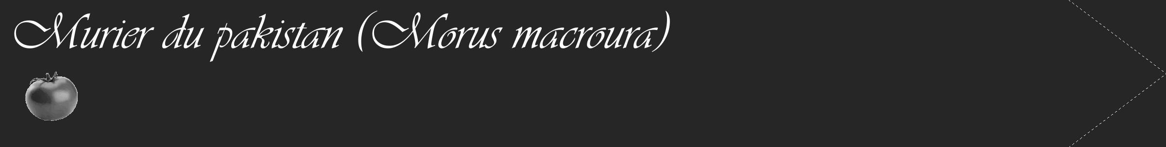 Étiquette de : Morus macroura - format c - style blanche29_simple_simpleviv avec comestibilité simplifiée