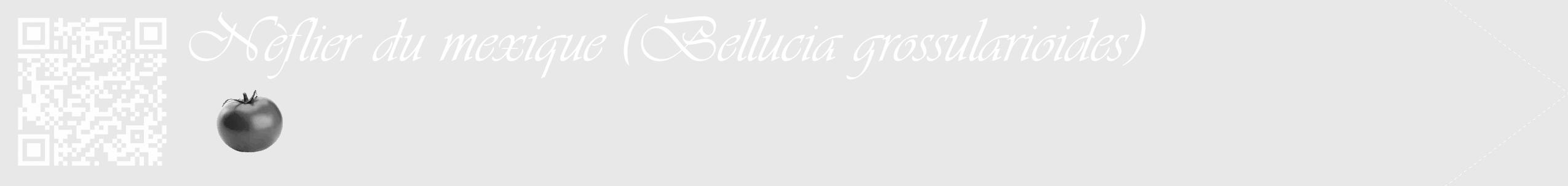 Étiquette de : Bellucia grossularioides - format c - style blanche55_simple_simpleviv avec qrcode et comestibilité simplifiée