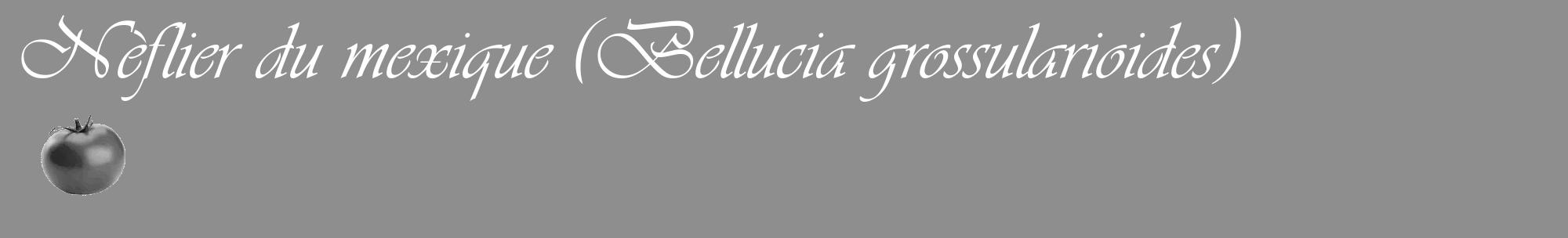 Étiquette de : Bellucia grossularioides - format c - style blanche25_basique_basiqueviv avec comestibilité simplifiée