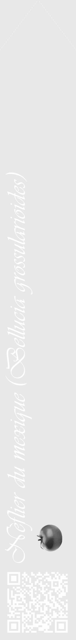 Étiquette de : Bellucia grossularioides - format c - style blanche55_simple_simpleviv avec qrcode et comestibilité simplifiée - position verticale