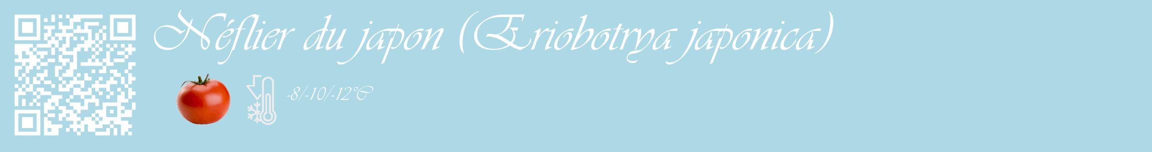 Étiquette de : Eriobotrya japonica - format c - style blanche0_basique_basiqueviv avec qrcode et comestibilité simplifiée