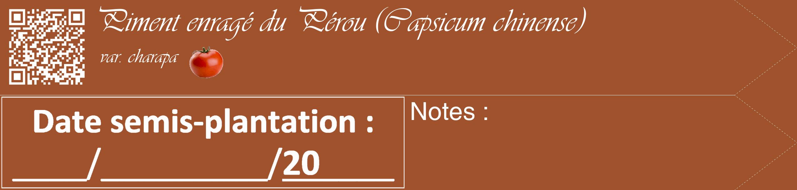 Étiquette de : Capsicum chinense var. charapa - format c - style blanche32_simple_simpleviv avec qrcode et comestibilité simplifiée