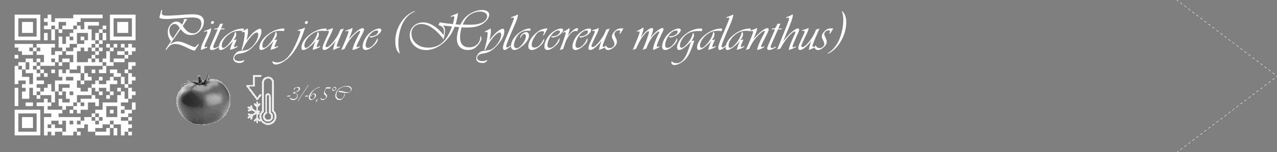 Étiquette de : Hylocereus megalanthus - format c - style blanche31_simple_simpleviv avec qrcode et comestibilité simplifiée