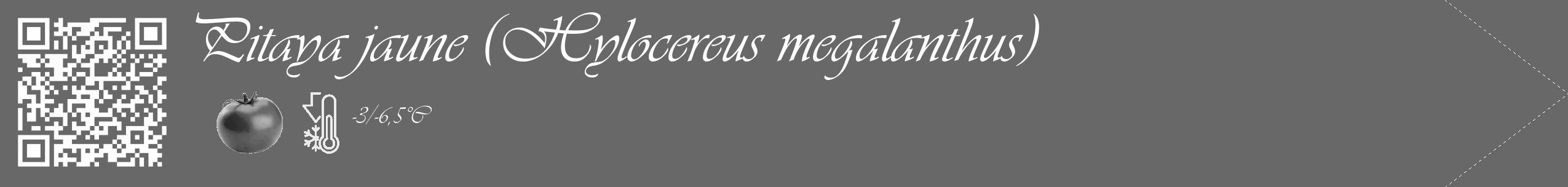 Étiquette de : Hylocereus megalanthus - format c - style blanche6_simple_simpleviv avec qrcode et comestibilité simplifiée