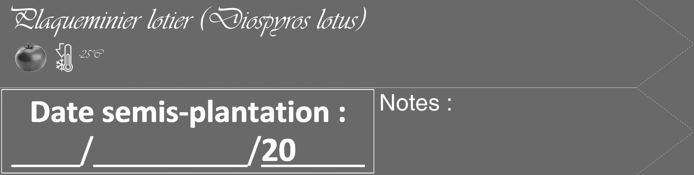 Étiquette de : Diospyros lotus - format c - style blanche11_simple_simpleviv avec comestibilité simplifiée