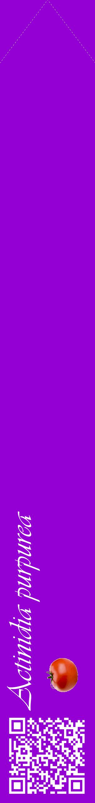 Étiquette de : Actinidia purpurea - format c - style blanche48_simpleviv avec qrcode et comestibilité simplifiée