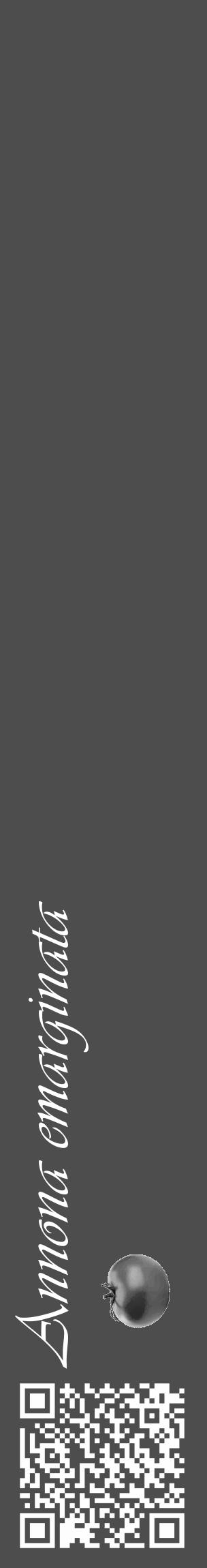 Étiquette de : Annona emarginata - format c - style blanche28_basique_basiqueviv avec qrcode et comestibilité simplifiée - position verticale