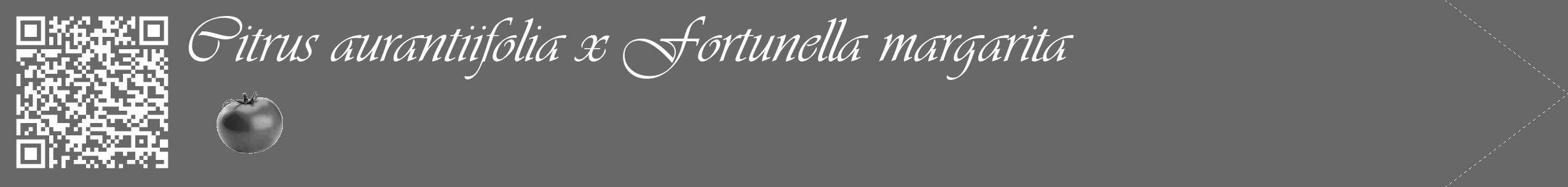 Étiquette de : Citrus aurantiifolia x Fortunella margarita - format c - style blanche6_simple_simpleviv avec qrcode et comestibilité simplifiée