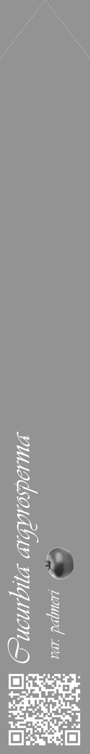 Étiquette de : Cucurbita argyrosperma var. palmeri - format c - style blanche44_simple_simpleviv avec qrcode et comestibilité simplifiée - position verticale