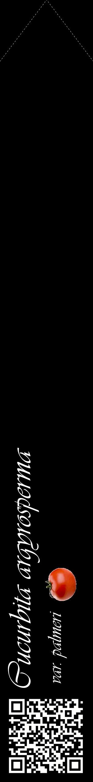 Étiquette de : Cucurbita argyrosperma var. palmeri - format c - style blanche59_simpleviv avec qrcode et comestibilité simplifiée