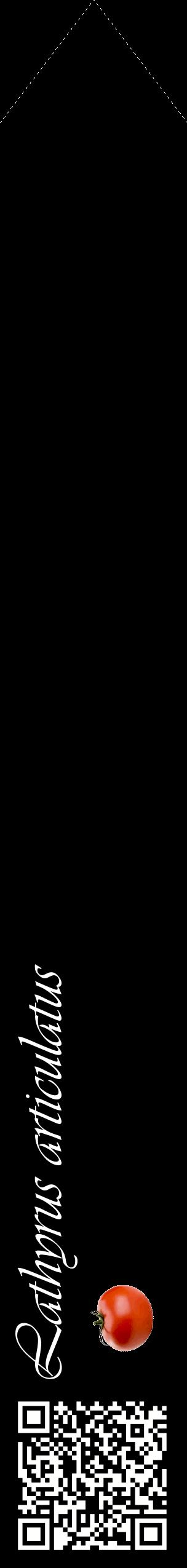 Étiquette de : Lathyrus articulatus - format c - style blanche59_simpleviv avec qrcode et comestibilité simplifiée