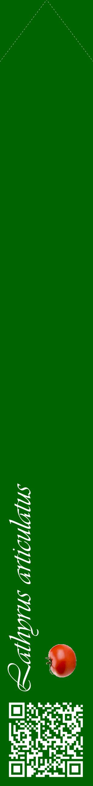 Étiquette de : Lathyrus articulatus - format c - style blanche8_simpleviv avec qrcode et comestibilité simplifiée