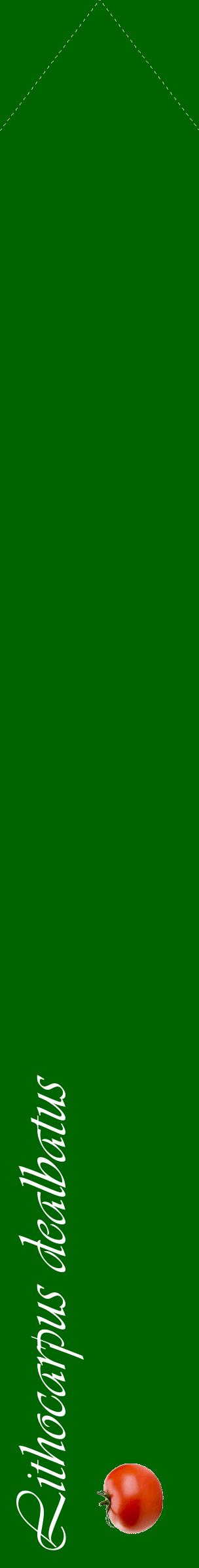 Étiquette de : Lithocarpus dealbatus - format c - style blanche8_simpleviv avec comestibilité simplifiée