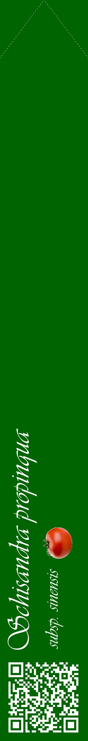 Étiquette de : Schisandra propinqua subsp. sinensis - format c - style blanche8_simpleviv avec qrcode et comestibilité simplifiée