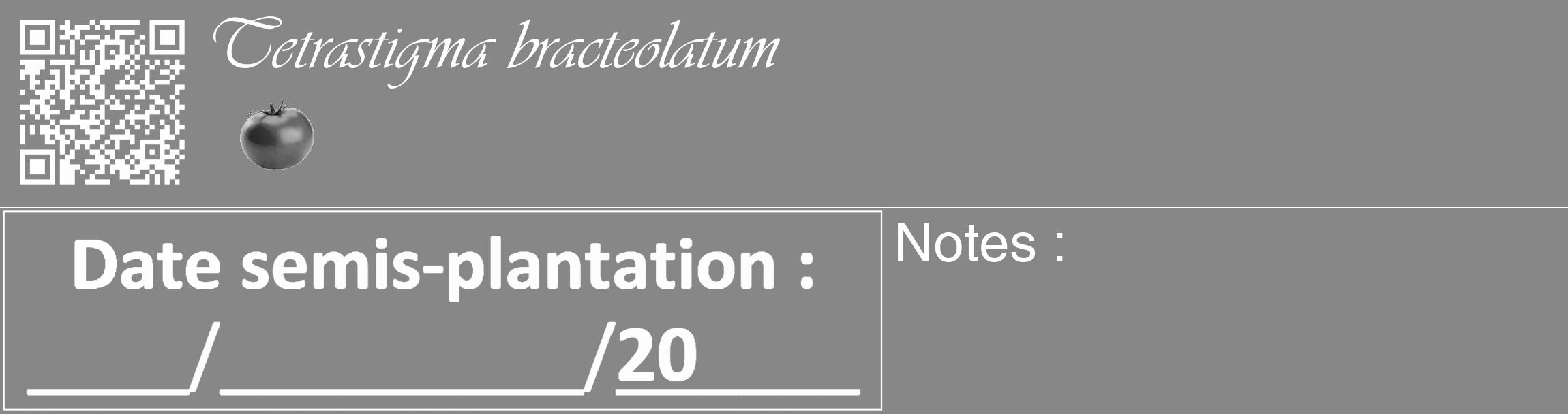 Étiquette de : Tetrastigma bracteolatum - format c - style blanche12_basique_basiqueviv avec qrcode et comestibilité simplifiée