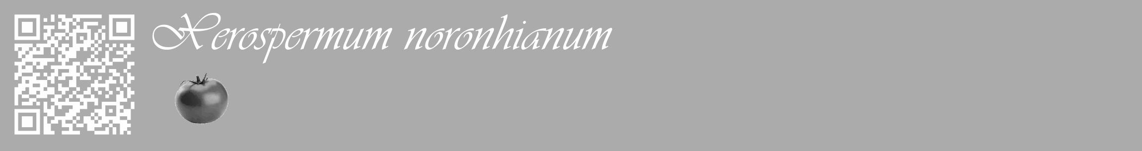 Étiquette de : Xerospermum noronhianum - format c - style blanche37_basique_basiqueviv avec qrcode et comestibilité simplifiée