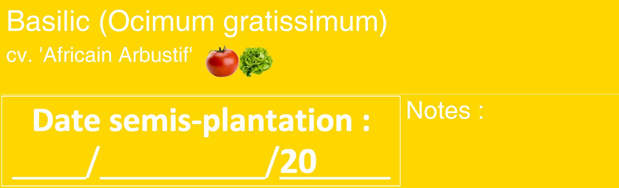 Étiquette de : Ocimum gratissimum cv. 'Africain Arbustif' - format c - style blanche21_basique_basiquehel avec comestibilité simplifiée
