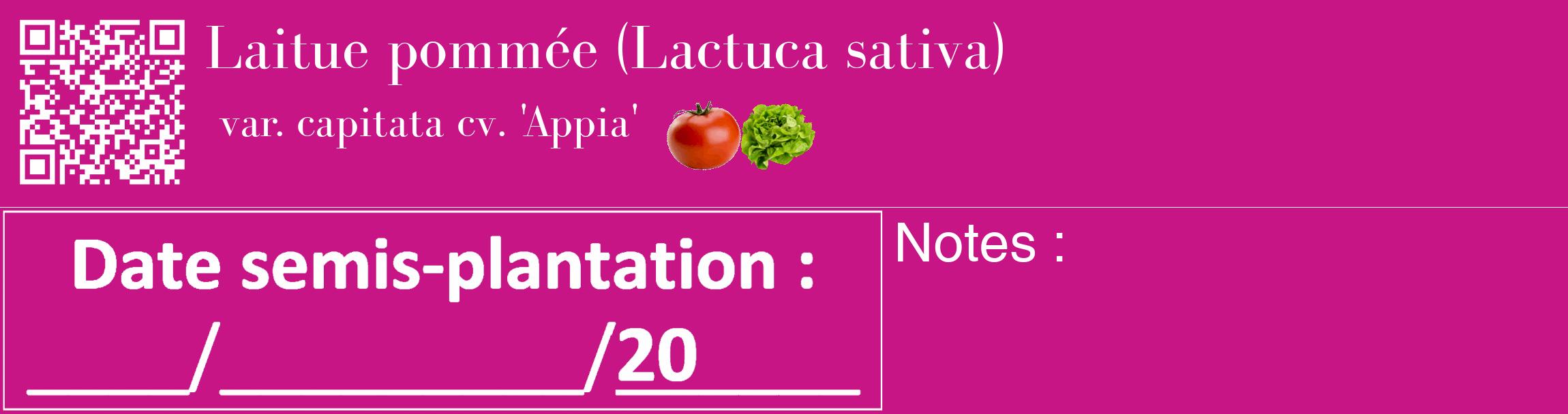 Étiquette de : Lactuca sativa var. capitata cv. 'Appia' - format c - style blanche45_basique_basiquebod avec qrcode et comestibilité simplifiée