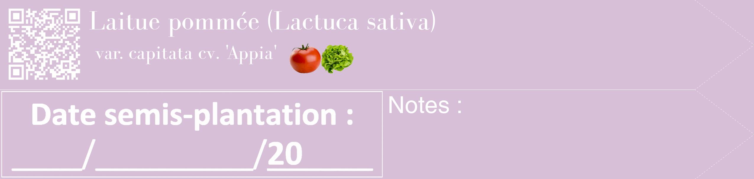 Étiquette de : Lactuca sativa var. capitata cv. 'Appia' - format c - style blanche54_simple_simplebod avec qrcode et comestibilité simplifiée
