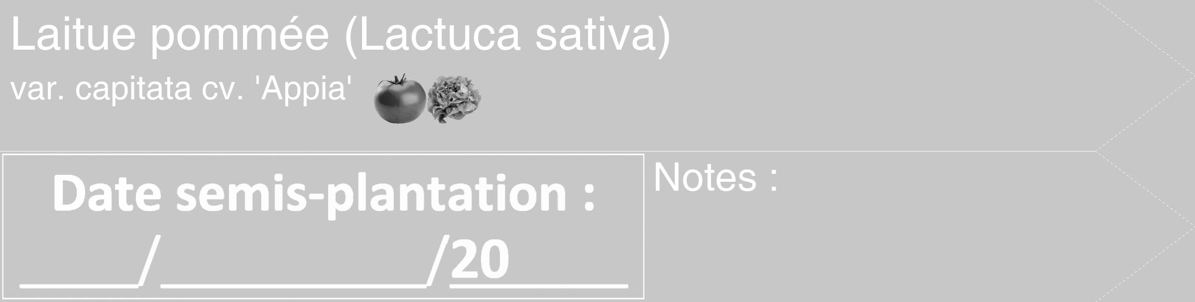 Étiquette de : Lactuca sativa var. capitata cv. 'Appia' - format c - style blanche15_simple_simplehel avec comestibilité simplifiée