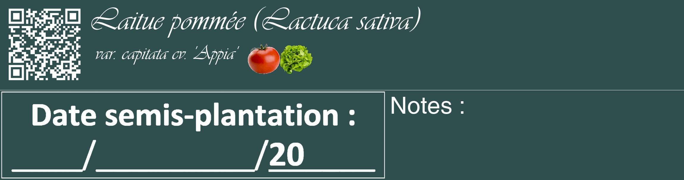 Étiquette de : Lactuca sativa var. capitata cv. 'Appia' - format c - style blanche58_basique_basiqueviv avec qrcode et comestibilité simplifiée