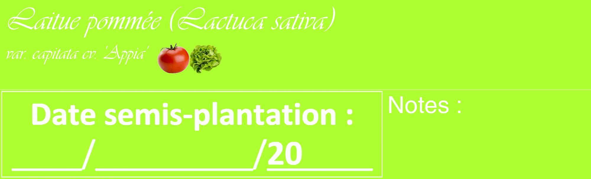 Étiquette de : Lactuca sativa var. capitata cv. 'Appia' - format c - style blanche17_basique_basiqueviv avec comestibilité simplifiée