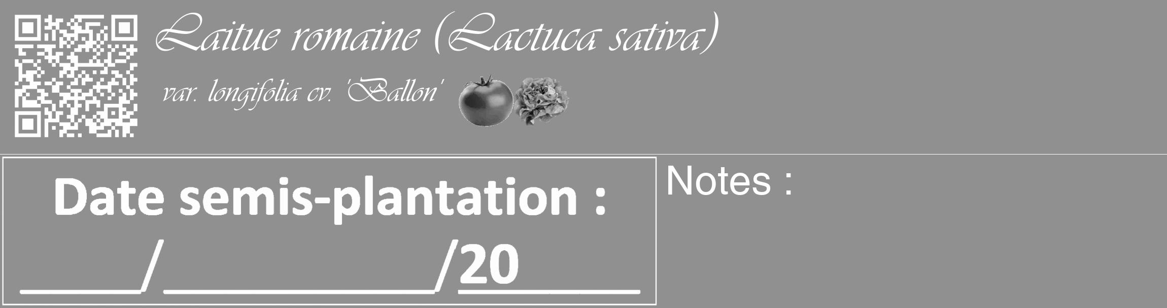 Étiquette de : Lactuca sativa var. longifolia cv. 'Ballon' - format c - style blanche4_basique_basiqueviv avec qrcode et comestibilité simplifiée