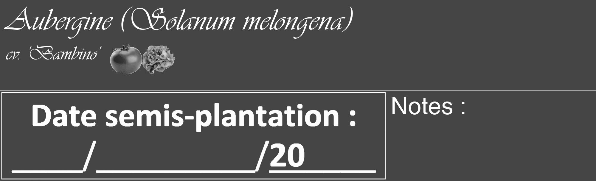 Étiquette de : Solanum melongena cv. 'Bambino' - format c - style blanche58_basique_basiqueviv avec comestibilité simplifiée