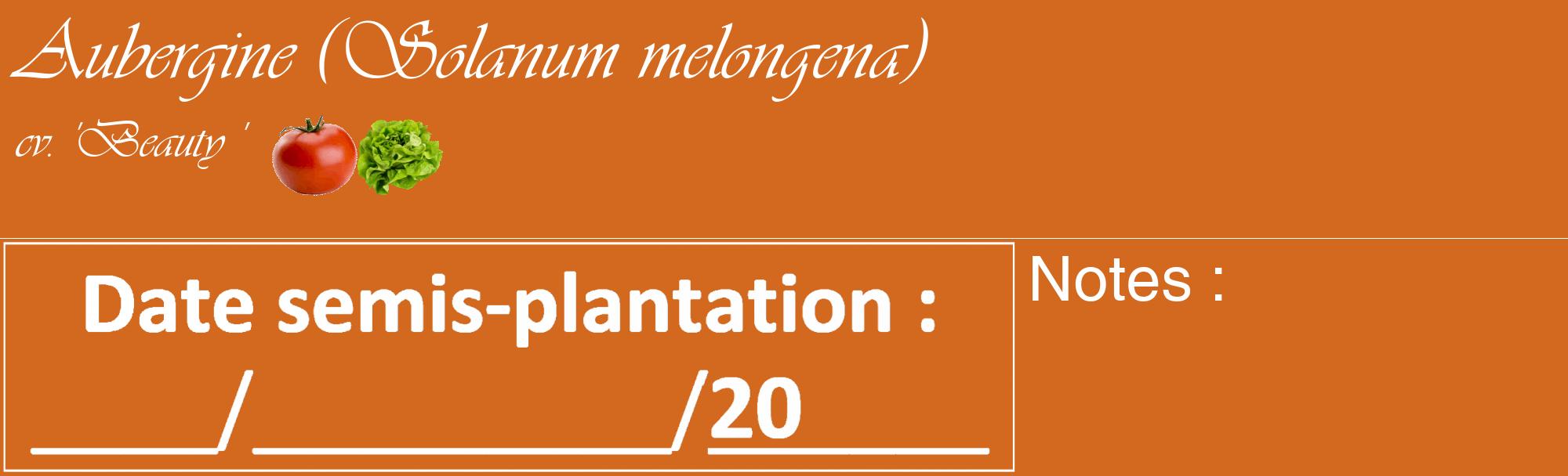 Étiquette de : Solanum melongena cv. 'Beauty ' - format c - style blanche31_basique_basiqueviv avec comestibilité simplifiée