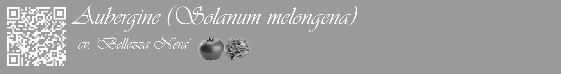 Étiquette de : Solanum melongena cv. 'Bellezza Nera' - format c - style blanche52_basique_basiqueviv avec qrcode et comestibilité simplifiée