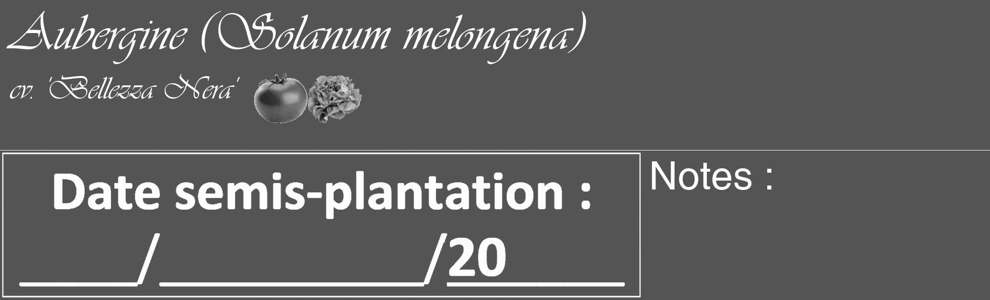 Étiquette de : Solanum melongena cv. 'Bellezza Nera' - format c - style blanche36_basique_basiqueviv avec comestibilité simplifiée