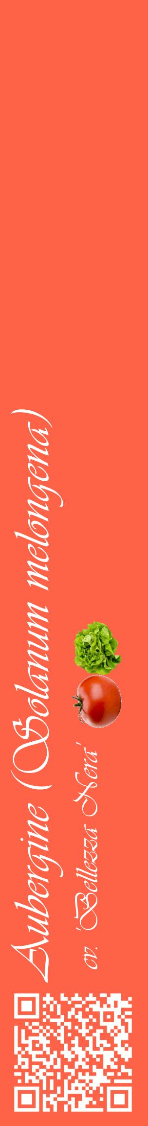 Étiquette de : Solanum melongena cv. 'Bellezza Nera' - format c - style blanche25_basiqueviv avec qrcode et comestibilité simplifiée