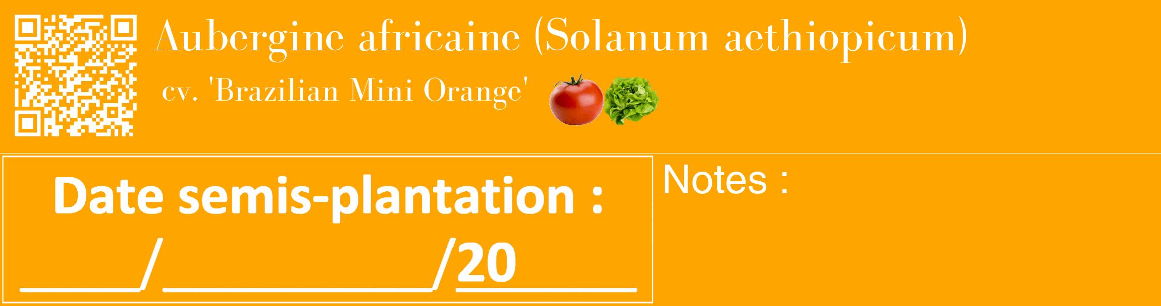 Étiquette de : Solanum aethiopicum cv. 'Brazilian Mini Orange' - format c - style blanche22_basique_basiquebod avec qrcode et comestibilité simplifiée