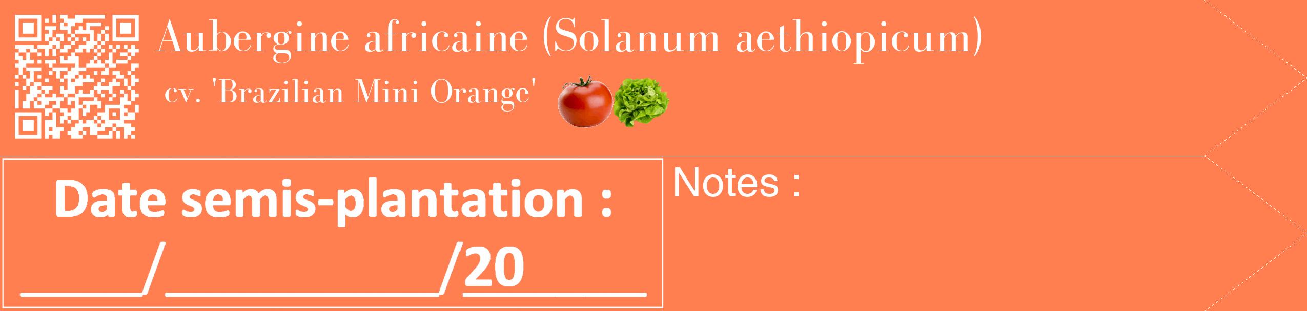 Étiquette de : Solanum aethiopicum cv. 'Brazilian Mini Orange' - format c - style blanche24_simple_simplebod avec qrcode et comestibilité simplifiée
