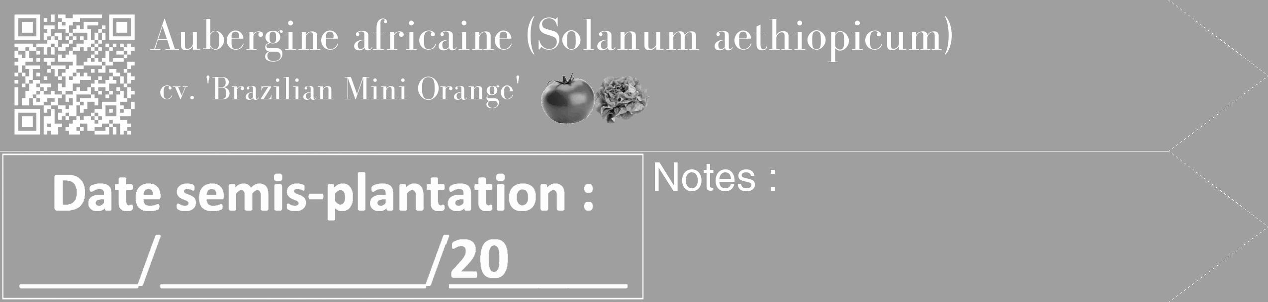 Étiquette de : Solanum aethiopicum cv. 'Brazilian Mini Orange' - format c - style blanche24_simple_simplebod avec qrcode et comestibilité simplifiée
