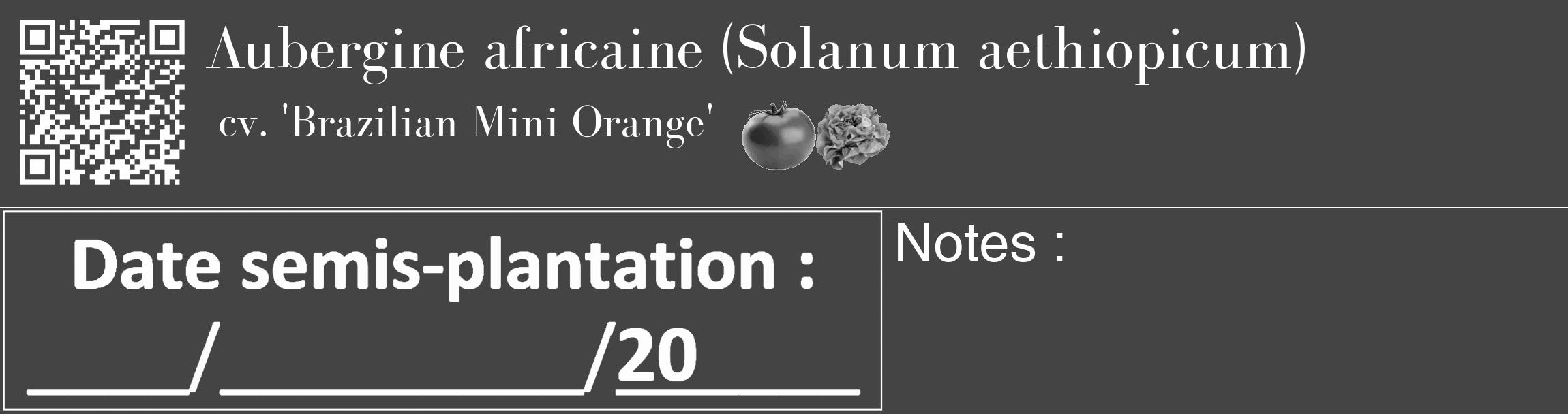 Étiquette de : Solanum aethiopicum cv. 'Brazilian Mini Orange' - format c - style blanche48_basique_basiquebod avec qrcode et comestibilité simplifiée