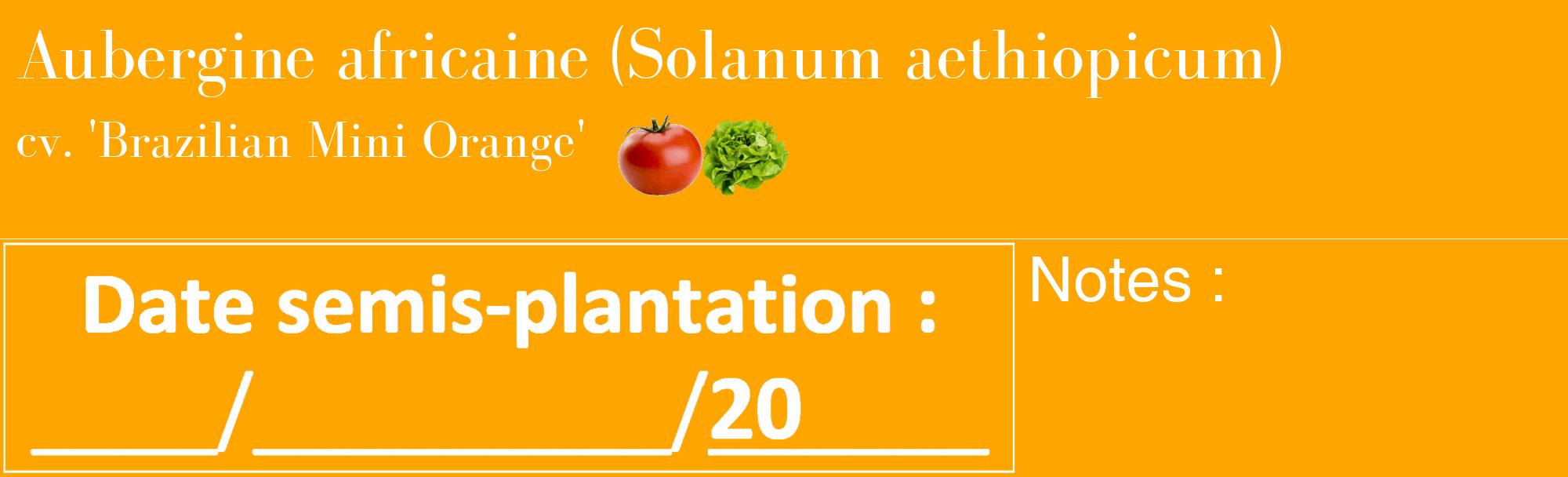 Étiquette de : Solanum aethiopicum cv. 'Brazilian Mini Orange' - format c - style blanche22_basique_basiquebod avec comestibilité simplifiée