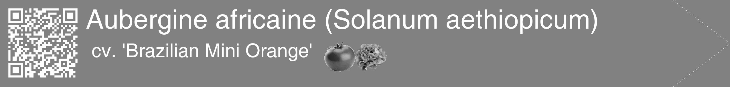 Étiquette de : Solanum aethiopicum cv. 'Brazilian Mini Orange' - format c - style blanche50_simple_simplehel avec qrcode et comestibilité simplifiée