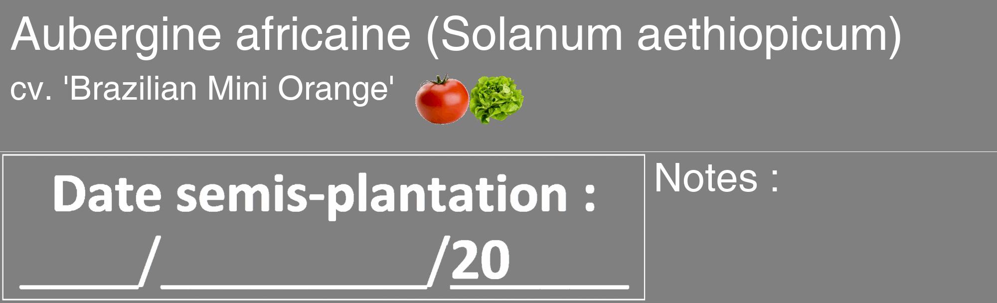 Étiquette de : Solanum aethiopicum cv. 'Brazilian Mini Orange' - format c - style blanche57_basique_basiquehel avec comestibilité simplifiée