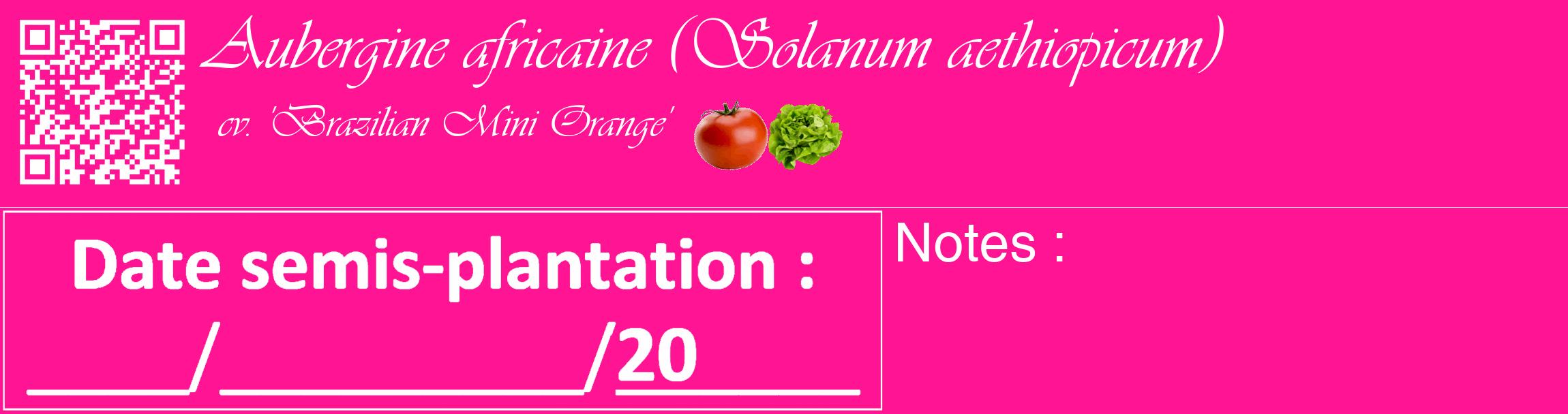 Étiquette de : Solanum aethiopicum cv. 'Brazilian Mini Orange' - format c - style blanche43_basique_basiqueviv avec qrcode et comestibilité simplifiée