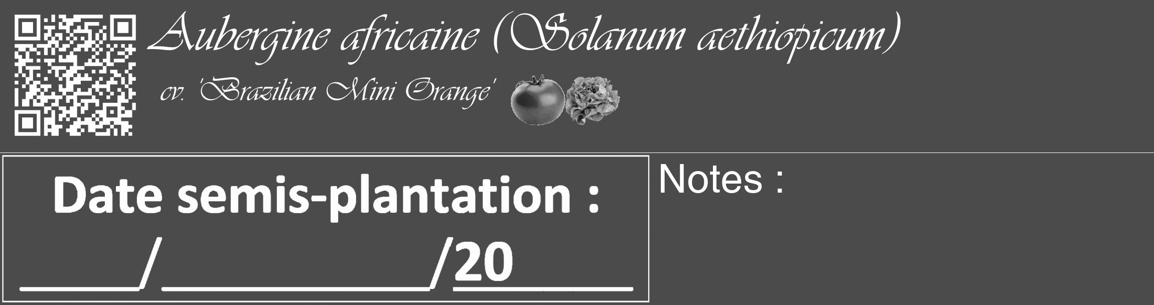 Étiquette de : Solanum aethiopicum cv. 'Brazilian Mini Orange' - format c - style blanche9_basique_basiqueviv avec qrcode et comestibilité simplifiée